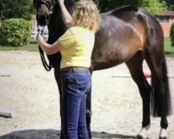 horse Feodora (Hanoverian, 2016, from Finest)