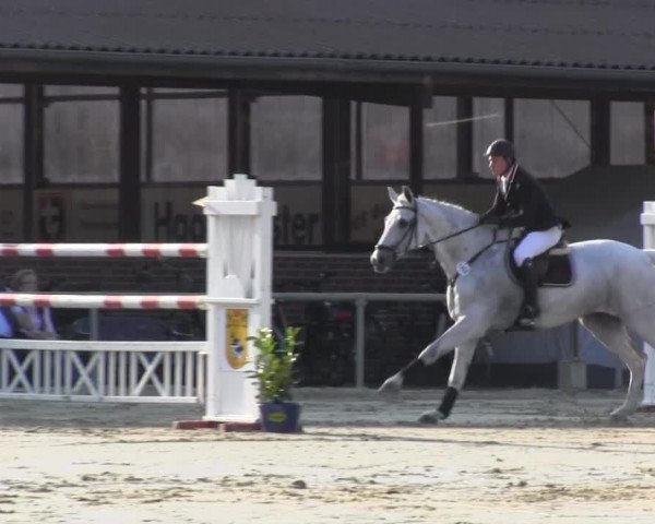 Appelhülsen 2014