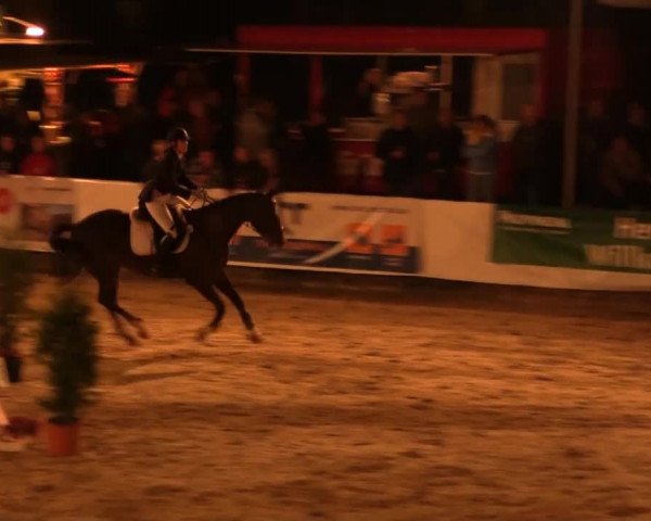 Witzheldener Reitertage 2014