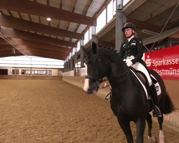 Reitturnier Appelhülsen 2025