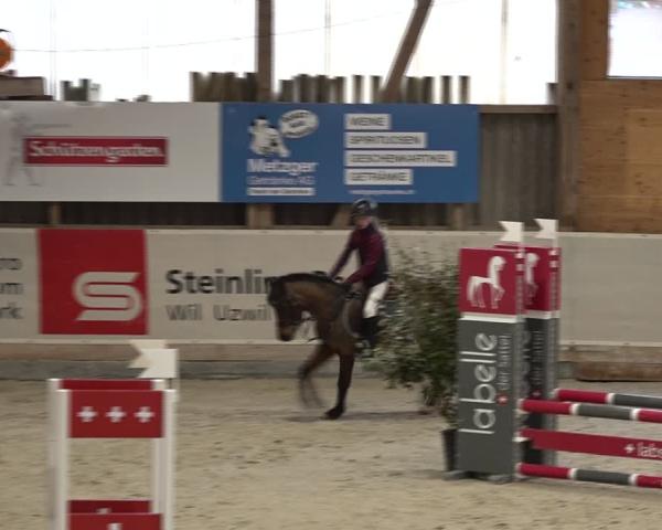 Reitturnier Henau 2025