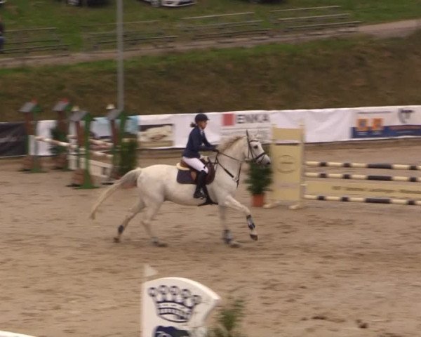 Witzheldener Reitertage 2014
