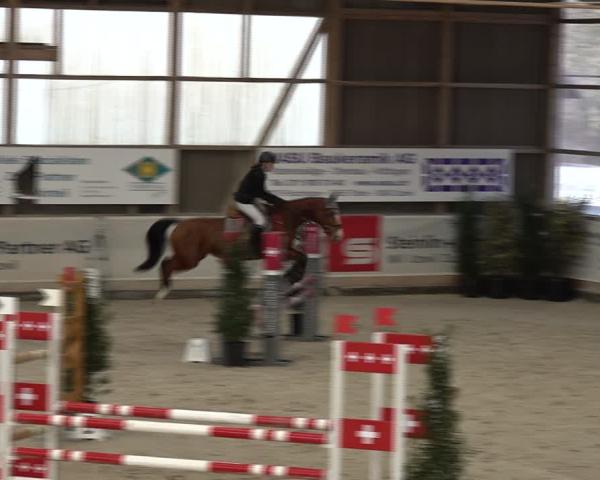 Reitturnier Henau 2025