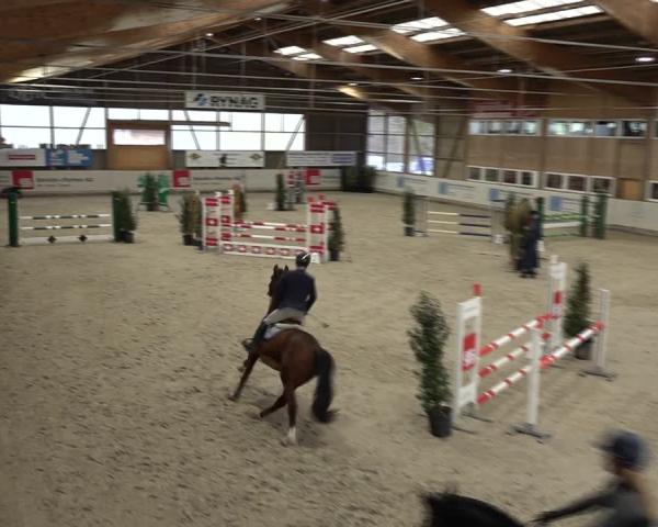 Reitturnier Henau 2025