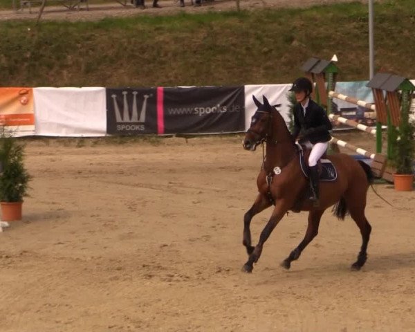 Witzheldener Reitertage 2014