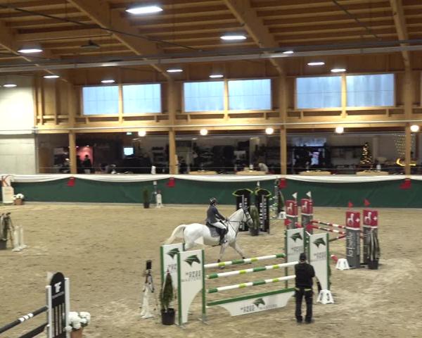 Reitturnier Dielsdorf 2025