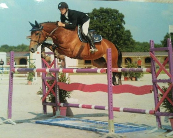 horse Sakara Hoy (Selle Français, 2006, from Litchi Hoy)