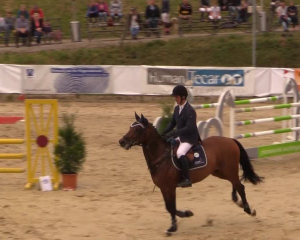 Witzheldener Reitertage 2014
