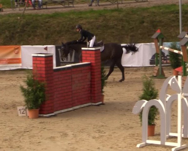 Witzheldener Reitertage 2014