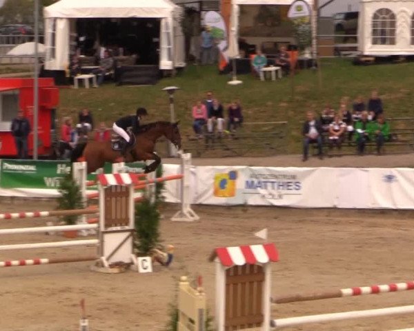 Witzheldener Reitertage 2014