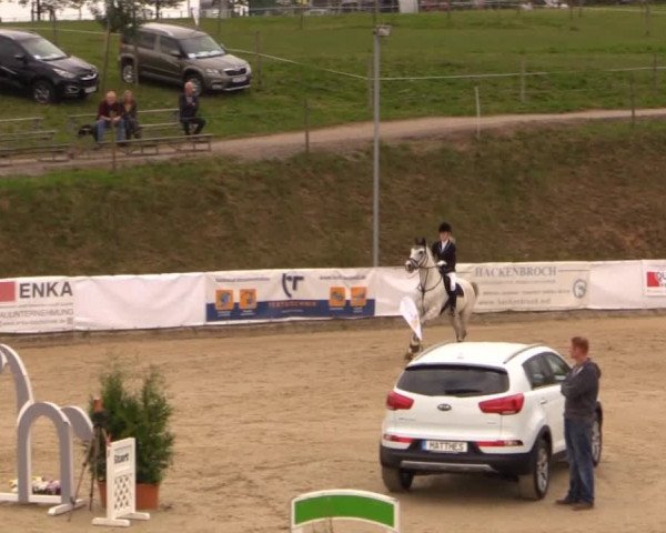 Witzheldener Reitertage 2014