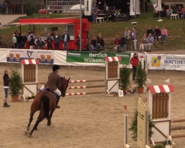 Witzheldener Reitertage 2014