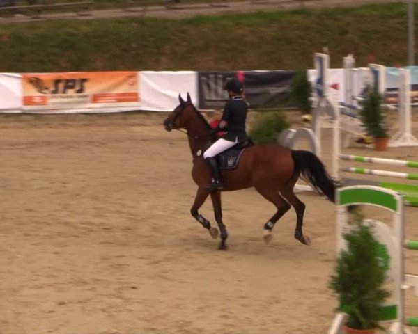 Witzheldener Reitertage 2014