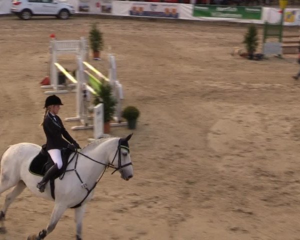 Witzheldener Reitertage 2014