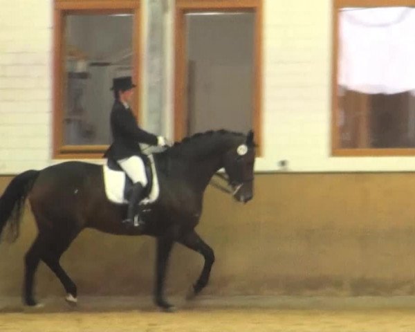Appelhülsen 2014