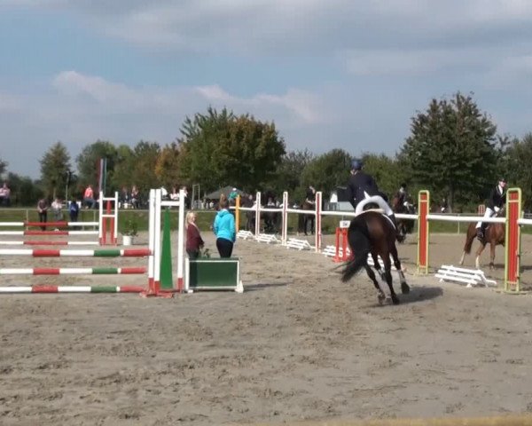 Appelhülsen 2014