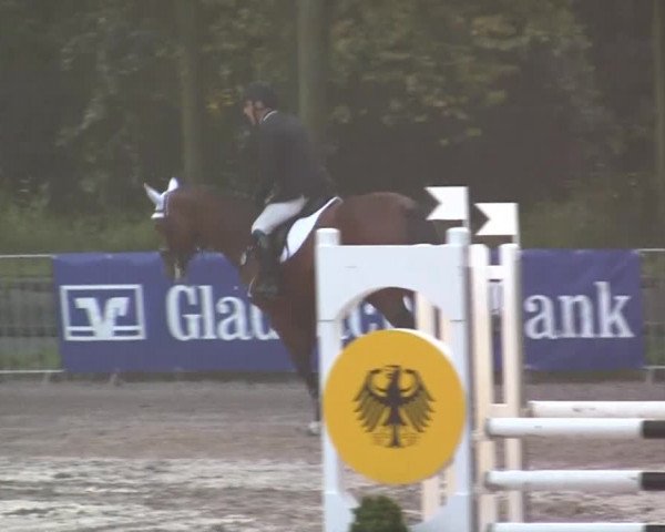 Wickrather Reitertage 2014