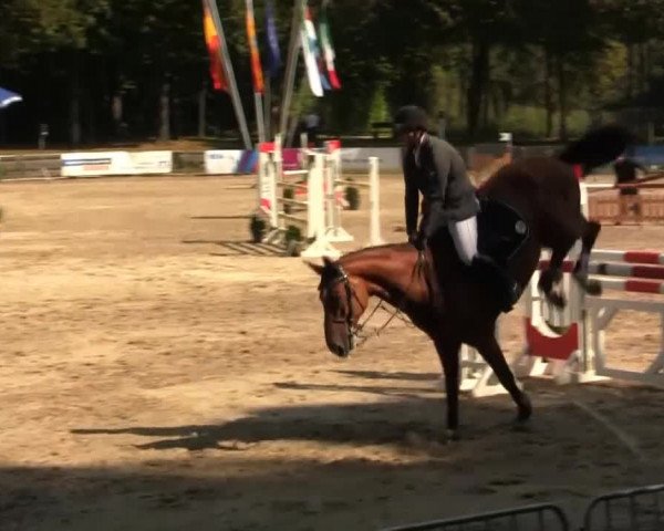 Wickrather Reitertage 2014