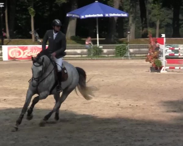 Wickrather Reitertage 2014