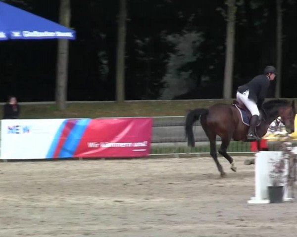 Wickrather Reitertage 2014