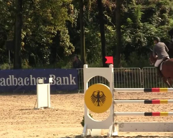 Wickrather Reitertage 2014