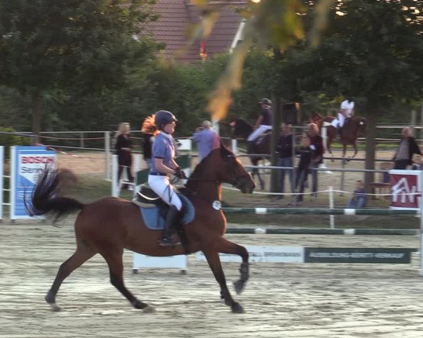 Reitturnier Ascheberg 2021