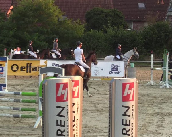 Reitturnier Ascheberg 2021