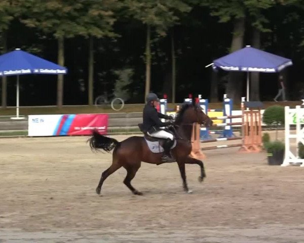 Wickrather Reitertage 2014
