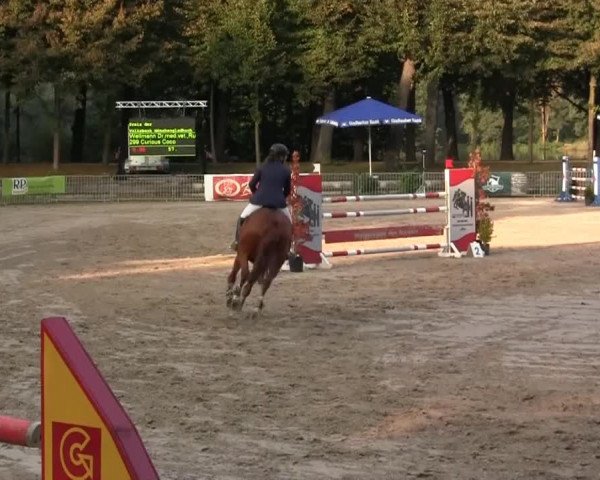 Wickrather Reitertage 2014
