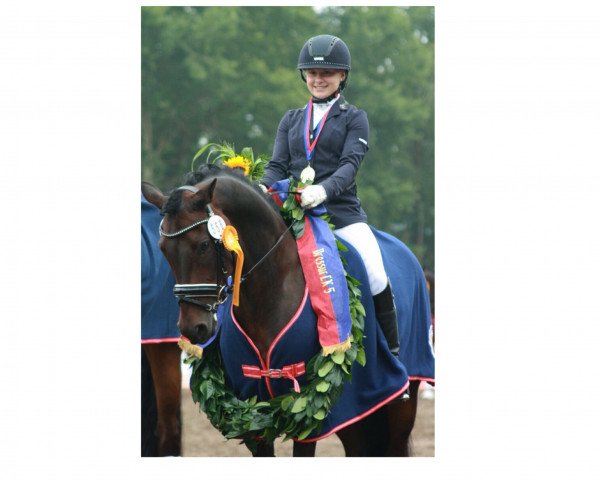 dressage horse Nudossi (German Riding Pony, 2008, from Noir de Luxe)