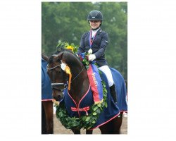 dressage horse Nudossi (German Riding Pony, 2008, from Noir de Luxe)