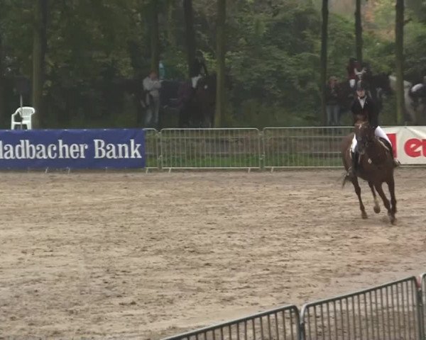 Wickrather Reitertage 2014