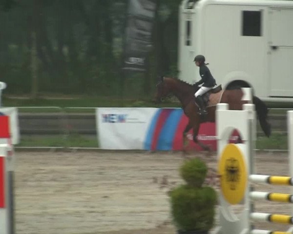 Wickrather Reitertage 2014