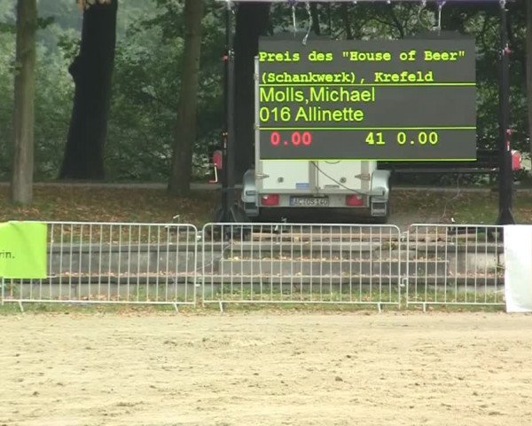 Wickrather Reitertage 2014