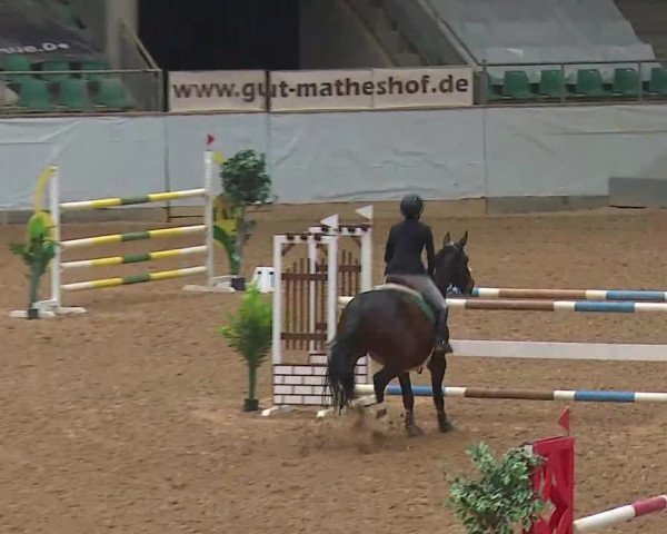 Reitturnier Kreuth/Opf. 2021