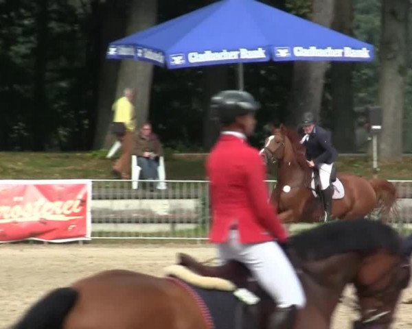Wickrather Reitertage 2014