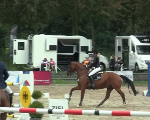 Wickrather Reitertage 2014