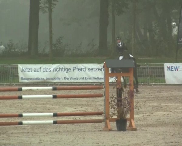 Wickrather Reitertage 2014