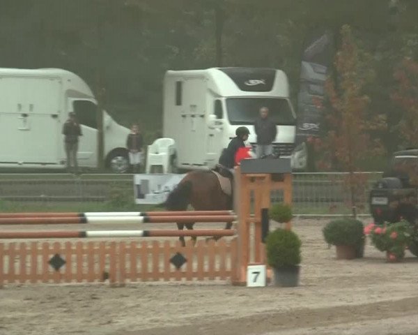 Wickrather Reitertage 2014