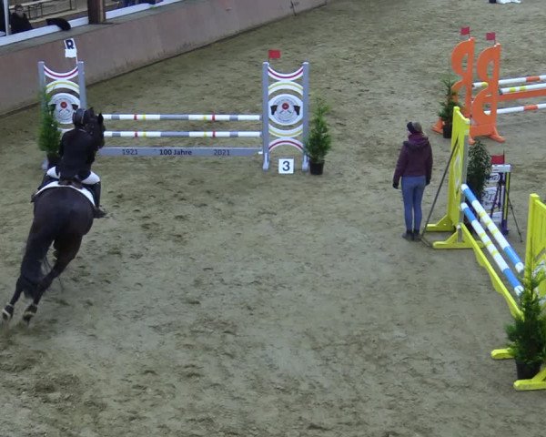 Reitturnier Bad Salzuflen 2021