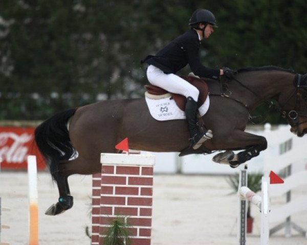 Springpferd Vasco de Mars (Selle Français, 2009, von Lamm de Fétan)