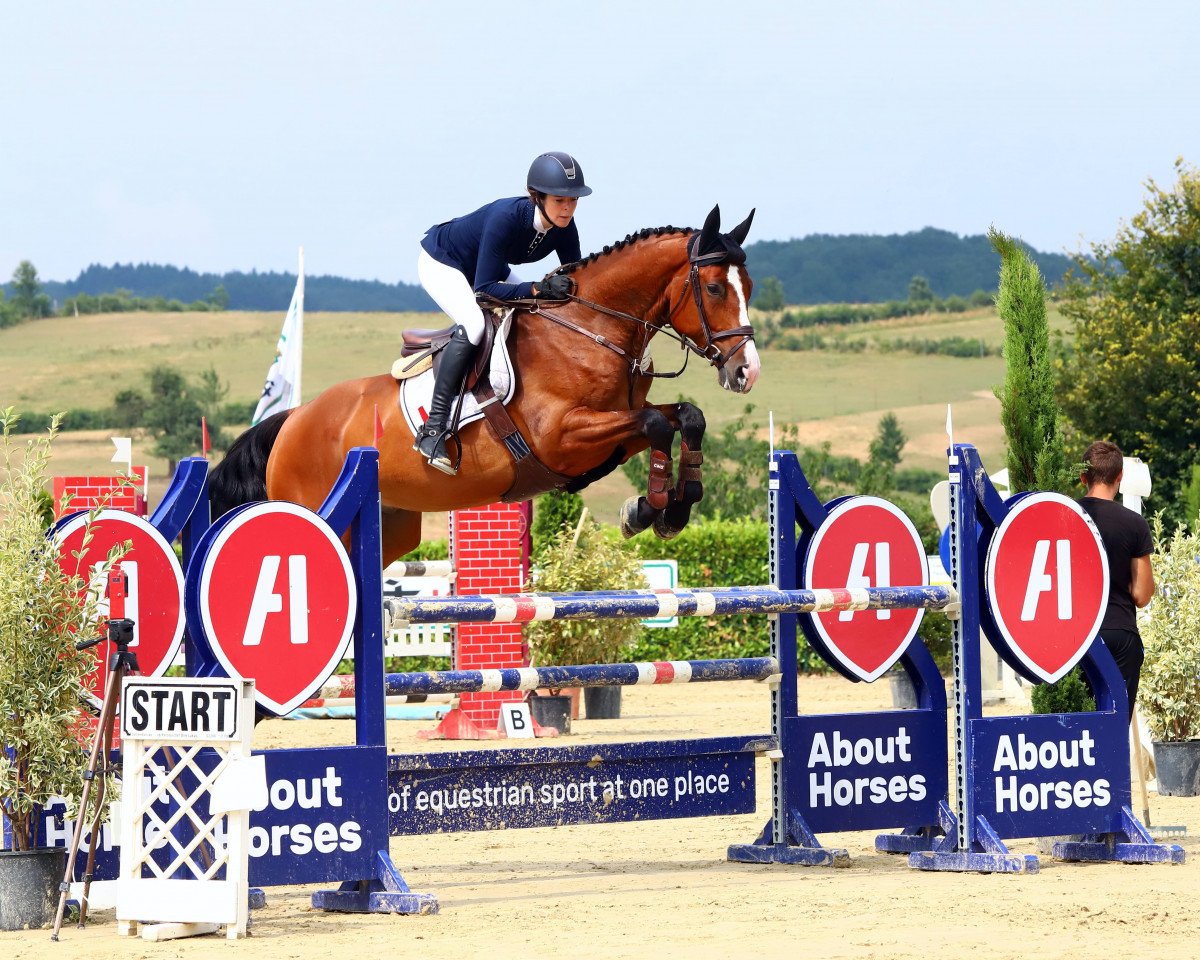 Springpferd Quick Big 3 (Oldenburger Springpferd, 2013, von Quick Orion d'Elle 189 FIN)