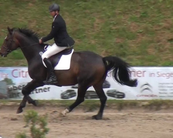 Großes Springturnier Siegen 2014