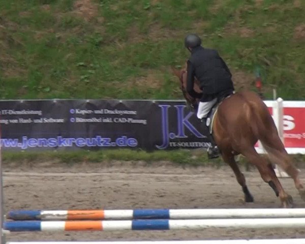 Großes Springturnier Siegen 2014