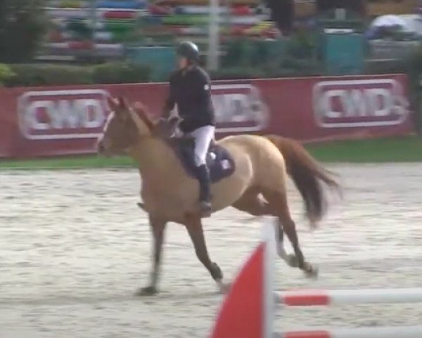 jumper Berangere de Mars (Selle Français, 2011, from Dollar de la Pierre)