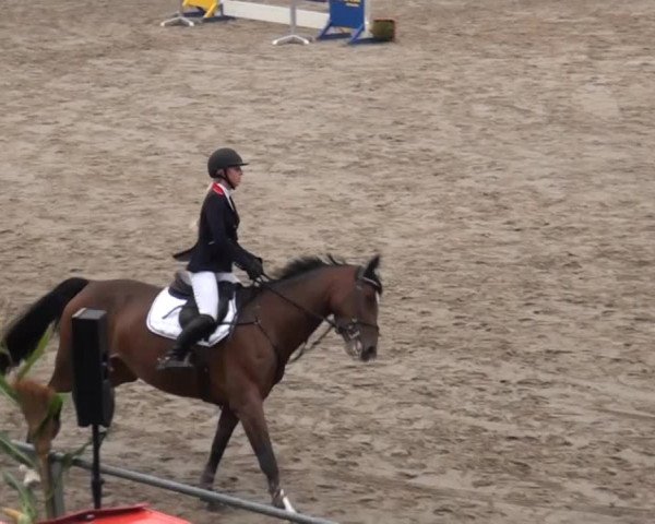 Großes Springturnier Siegen 2014