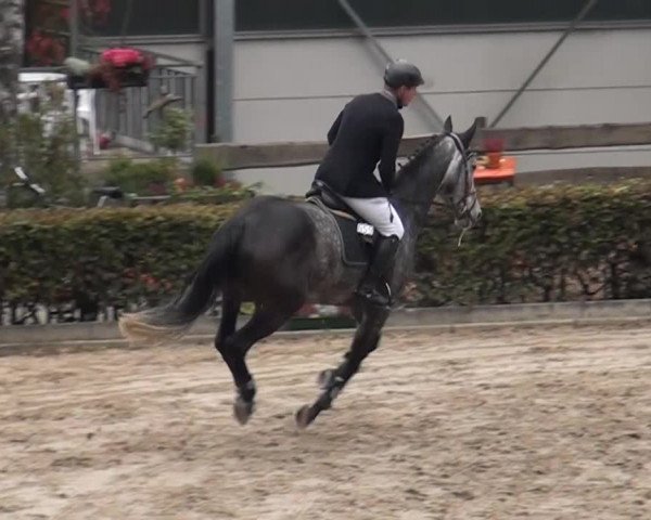 Großes Springturnier Siegen 2014