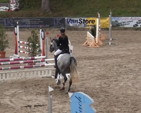 Großes Springturnier Siegen 2014