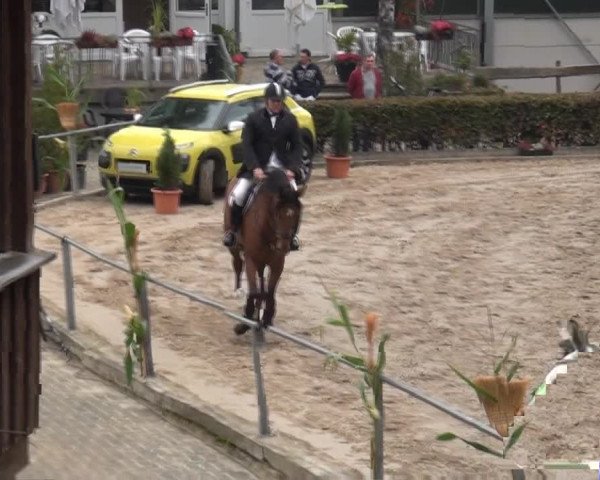 Großes Springturnier Siegen 2014