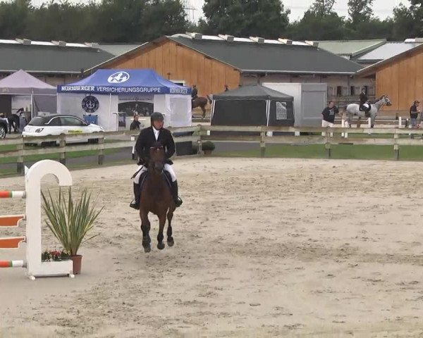 Springturnier Hubertushof RSG Linkenheim-Hochstetten 2014